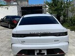 BYD Destroyer 05-2