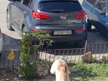Kia Sportage-3