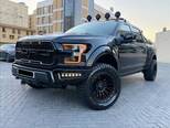 Ford F-150-15