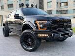 Ford F-150-16