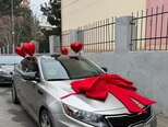 Kia Optima-14