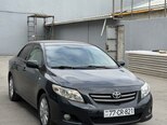 Toyota Corolla-13