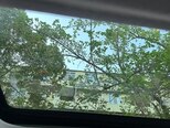 Kia Soul-4