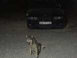 BMW 523-3