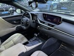 Lexus ES 300h-10