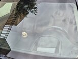BMW 520d-10