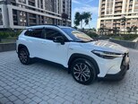 Toyota Corolla Cross-2