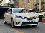 Toyota Corolla-6