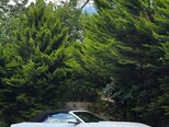 Ford Mustang-19