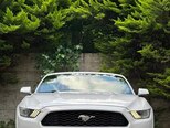 Ford Mustang-3