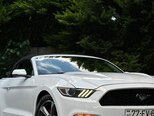 Ford Mustang-20