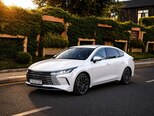 BYD Destroyer 05-14