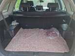 Chevrolet Captiva-8