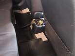 Kia Rio-15