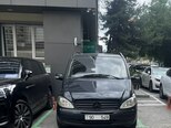 Mercedes Viano-2