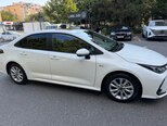 Toyota Corolla-7