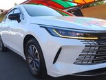 BYD Destroyer 05-10