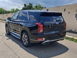 Hyundai Palisade-3