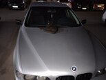 BMW 523-3