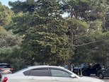Nissan Teana-7