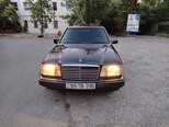 Mercedes 250 D-1