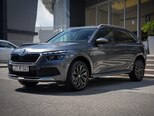 Skoda Kamiq-4
