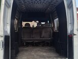 Ford Transit-7