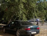 Opel Omega-7