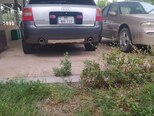 Audi A6-4