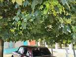 LADA (VAZ) 2107-11