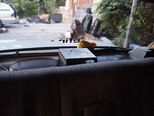 LADA (VAZ) 2107-9